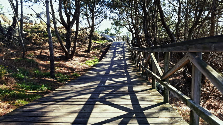 Wooden Walkway with Shadows in a Forested Path
