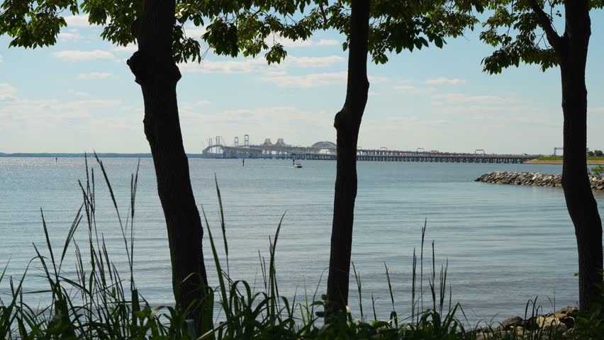 A cinematic panning shot from a shaded area beneath a large tree, revealing a busy bridge in the distance. The grand water beneath sparkles, creating a peaceful yet dynamic scene.