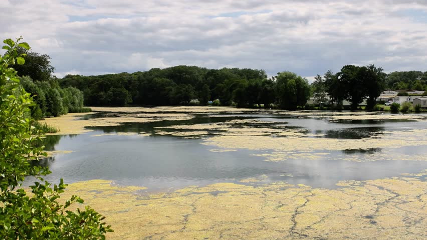 lake at Burton Constable Holiday Park and Arboretum