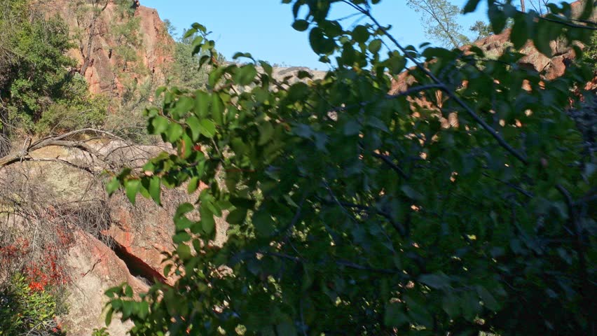 Hiking in Pinnacles National Park, California