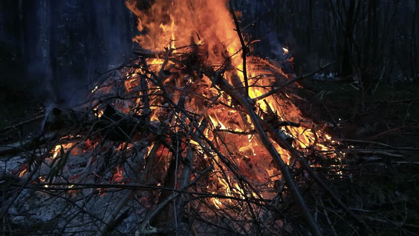 Large fire or a bonfire burning with a large flame, embers, smoke and sparkles during night evening or dusk time in winter forest, snow on the ground. Flame is orange, red and large, trees background.