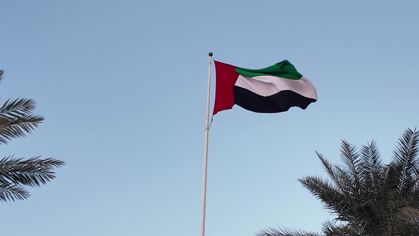 UAE flag waving in the blue sky between palm trees, national symbol of UAE. High quality 4k footage.
