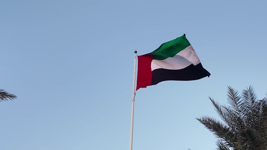 UAE flag waving in the blue sky between palm trees, national symbol of UAE. High quality 4k footage.