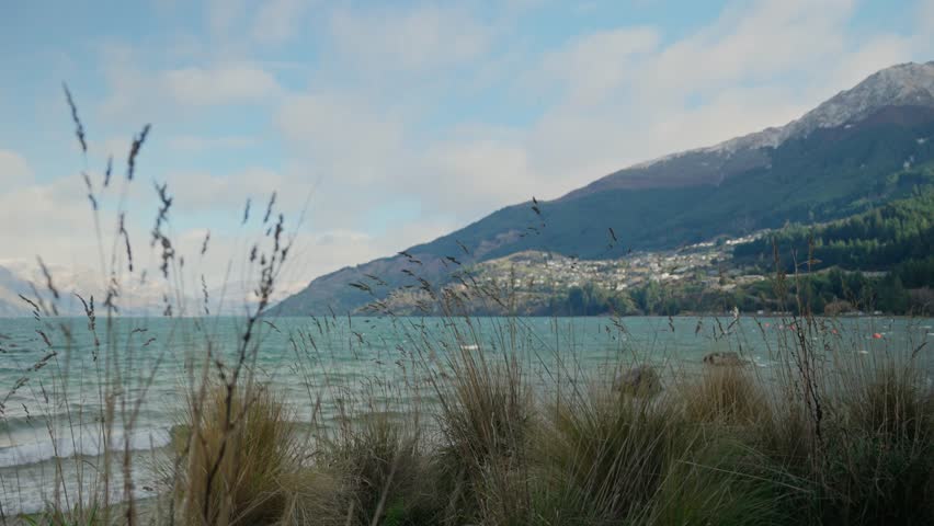 Coast of Queenstown in New Zealand as grass and sea oats bushes move in the wind. Beautiful Lake Wakatipu seen next to South Island mountains. Coastal plants next to water in blue sky day