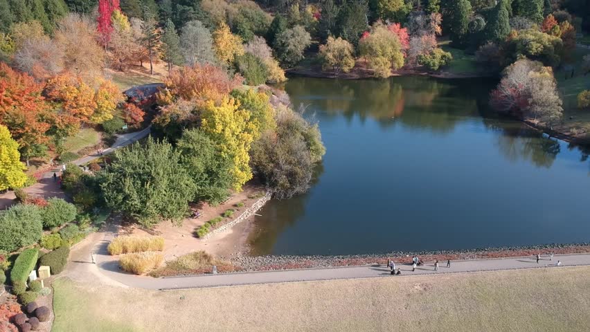 Autumn in Mount Lofty, Adelaide Hills, South Australia – Stunning Aerial Drone Footage