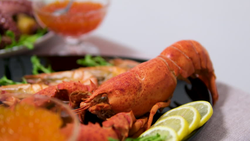 sushi fried rolls red fish Crayfish, Crawfish closeup. Red boiled crayfish with herbs and lemon isolated on white background. Crawfishes. Fresh Lobster closeup, rotating. 
