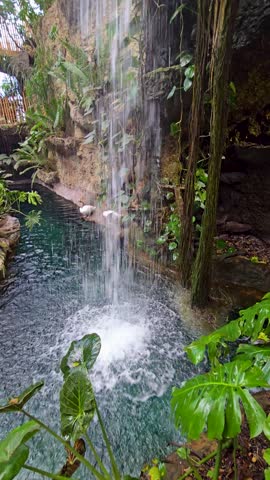 footage of a lake with a waterfall surrounded by lush green trees and plants at the Dallas World Aquarium in Dallas Texas USA
