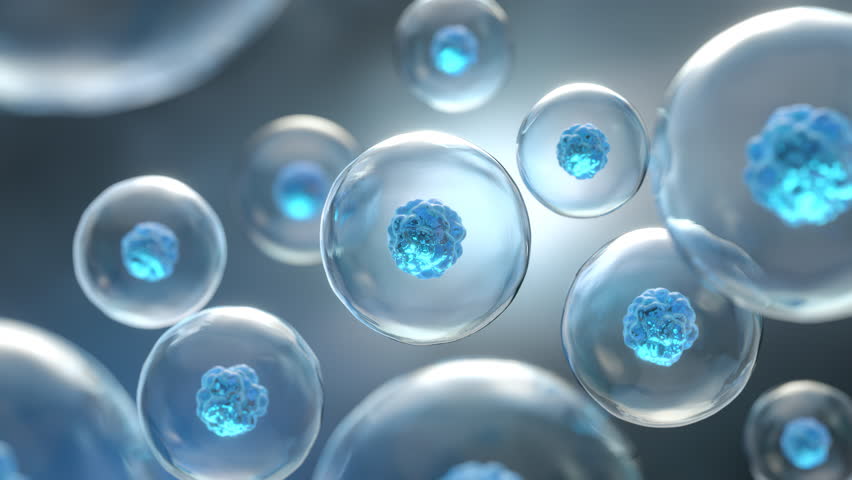 3d Animation of Human cell or Embryonic stem cell microscope background.