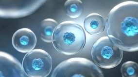 3d Animation of Human cell or Embryonic stem cell microscope background. - Powered by Shutterstock - Get 15% off with code: PIKWIZARD15