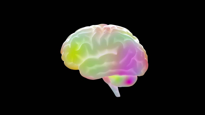 Brain Multicolored on Black Background and Alpha Channel. Happy Brain or Creative Thinking concept. Animation seamless loop. 3d render.