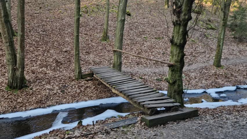 floating walkway made of wooden planks, pier, narrow curved paths on stilts driven to the bottom above the lake water. has no railings. more design sidewalk with low railings for wheelchairs