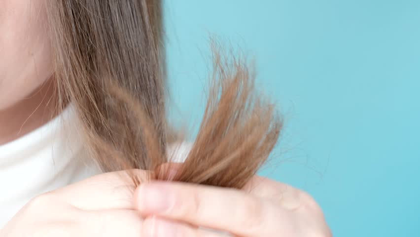 Woman holding her hair with split ends close-up on blue background.