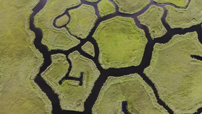 Engure Lake canal system forms striking patterns, wetlands, fostering wildlife