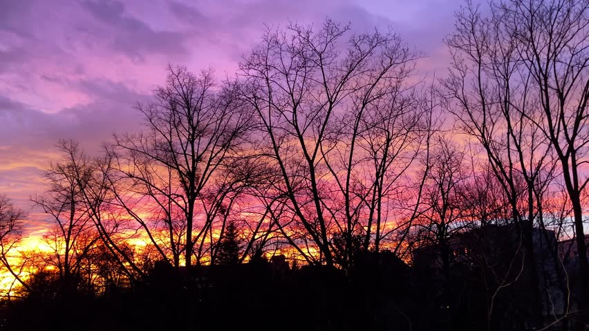 Trees silhouette over sunrise background in early morning. Purple sunrise wallpaper. Autumn sunrise and orange sunlight reflected in river in the morning.