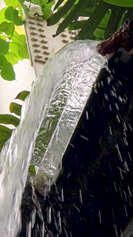 footage of a lake with a waterfall surrounded by lush green trees and plants at the Dallas World Aquarium in Dallas Texas USA