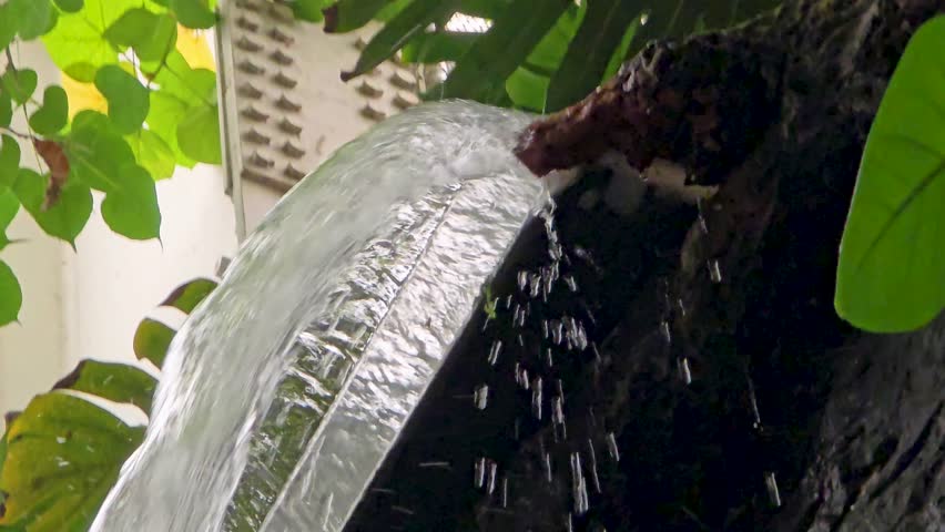 footage of a lake with a waterfall surrounded by lush green trees and plants at the Dallas World Aquarium in Dallas Texas USA