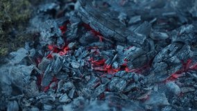 Smoldering embers of a campfire and the smoke rising from them. Burning fire with red coals. Close-up - Powered by Shutterstock - Get 15% off with code: PIKWIZARD15
