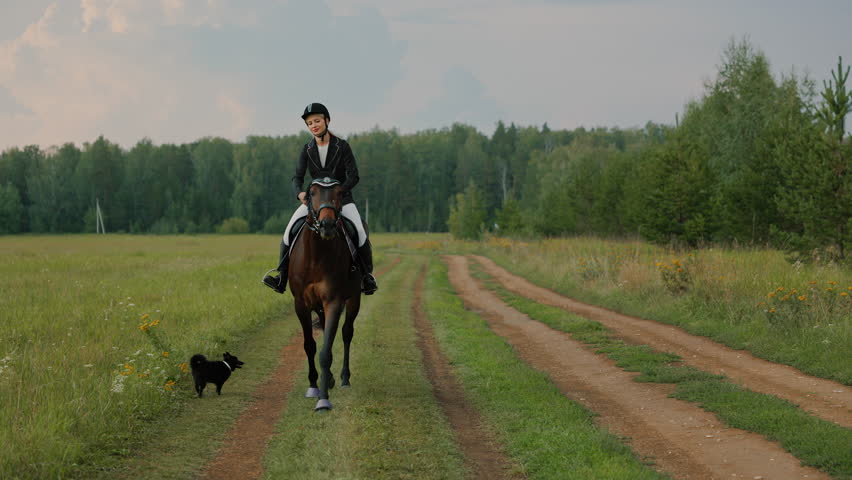 Young woman riding on country road, her pet dog runs near. Horsewoman walking horseback outdoors, pat on head. Equestrian rider in black helmet and redingote or jacket on brown horse