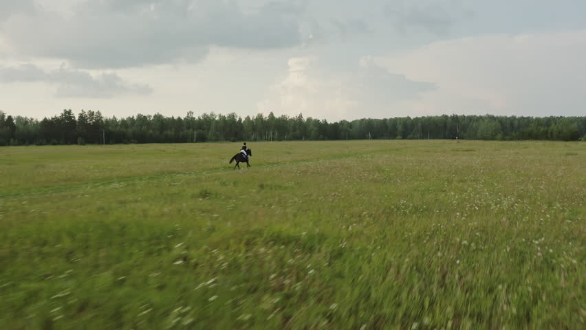 Horsewoman gallops on horse across huge green field, drone shot. Dynamic aerial of female rider cantering on meadow, equestrian sport and natural landscape