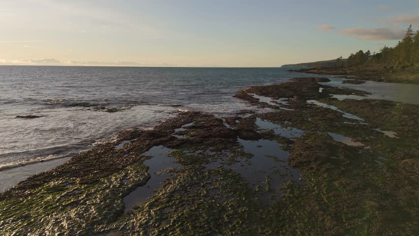 Tranquil drone footage of a rocky beach with tide pools at sunset, offering a peaceful and serene coastal view. British Columbia, Canada.