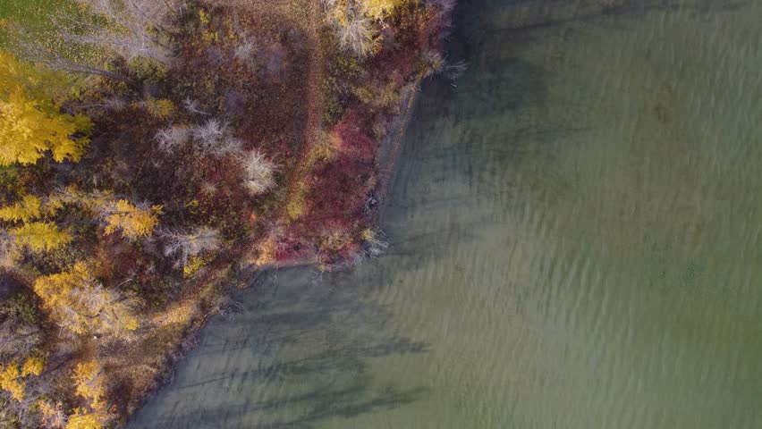 Waterfront Forest Trees and Trail Path From Above. Birds Eye Top View Looking Down on Shore. Fall Season Autumn Colours. Lakecountry, BC, Okanagan Valley, British Columbia, Canada. Beasley Park Shore