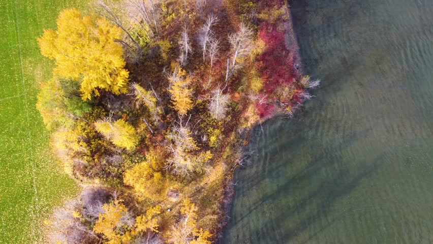 Waterfront Forest Trees and Trail Path From Above. Birds Eye Top View Looking Down on Shore. Fall Season Autumn Colours. Lakecountry, BC, Okanagan Valley, British Columbia, Canada. Beasley Park Shore