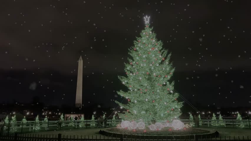 Snowfall in Washington D.C. with lighting Christmas tree at night. Washington Monument in distance. Wide shot. Snowflakes falling from dark sky. Christmas season in USA.
