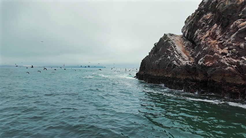 A flock of birds flying over the famous Ballestas Islands in Peru.