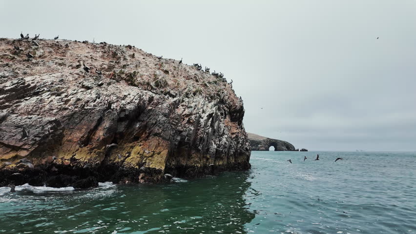 Birds in graceful flight over the rugged, colorful rocks of the Ballestas Islands, framed by moody clouds over the Pacific Ocean.