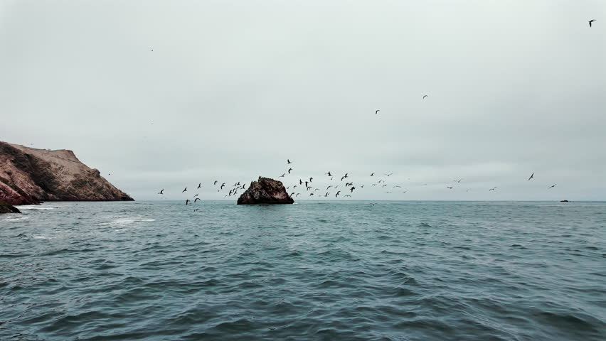 Pacific Ocean, rocks, and numerous birds at the Ballestas Islands in Peru.
