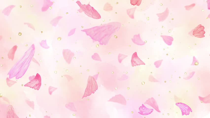 A loop animation of pink petals falling. A spring-like scene of cherry blossom season.