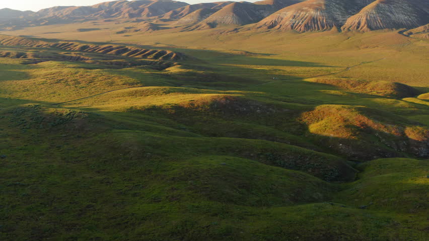 Carrizo Plain