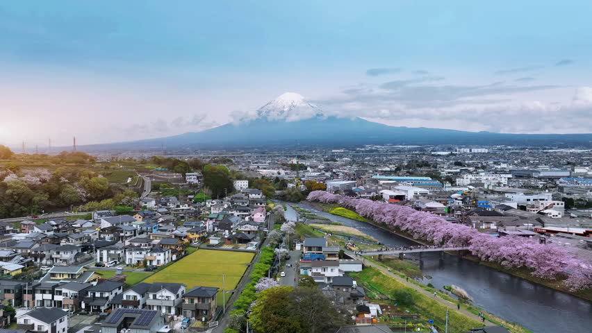 Fuji mountains and cherry blossoms at sunset, Zhizuoka in Japan.