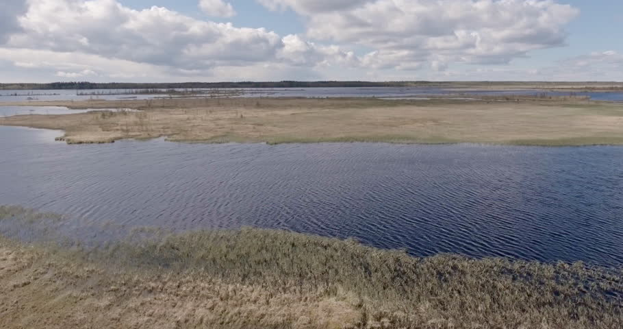Drone Flying Over a Lake and Meadow Toward the Opposite Shore - Low Altitude, Scenic Landscape