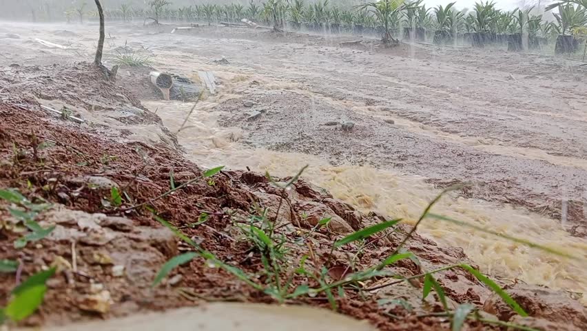 amula rahayu, South Lubuklinggau I Regency, South Sumatra province, Indonesia, 27 January 2025: heavy rain poured down and flooded waterways.