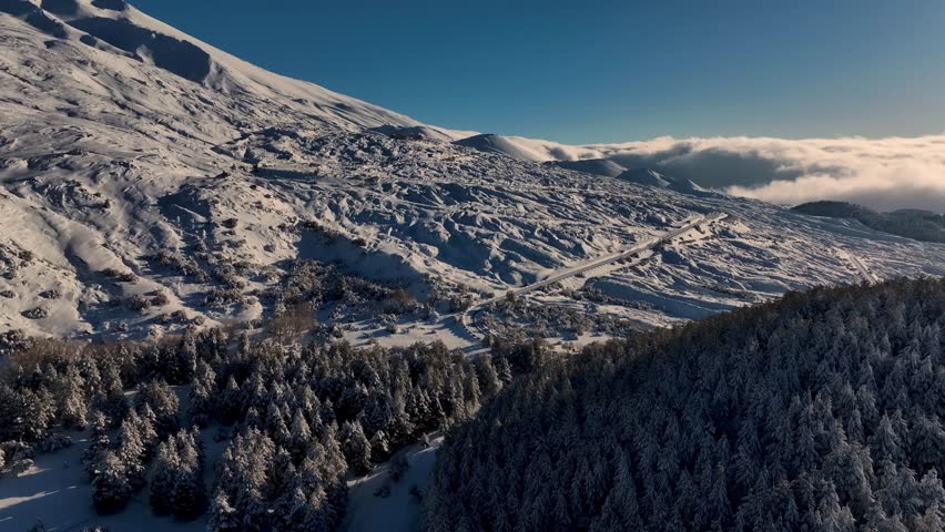Shot during a snowfall in the tourist area of ​​Etna Sud on the Etna volcano. Snow-covered woods, Piano Vetore, Sapienza Refuge. Frozen cottage. Frozen trees. Snow storm.