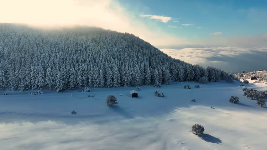 Shot during a snowfall in the tourist area of ​​Etna Sud on the Etna volcano. Snow-covered woods, Piano Vetore, Sapienza Refuge. Frozen cottage. Frozen trees. Snow storm.