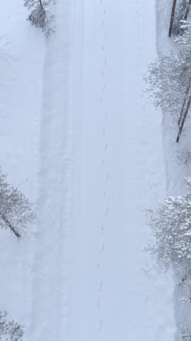 AERIAL: Flying above footprints imprinted in fresh white snow blanket on snowy road through pine tree forest. Footstep trail on the route through spruce woodland in mystical Finland winter wonderland
