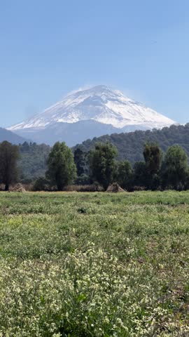 Mountainous landscape with snow-capped volcano, vegetation and field