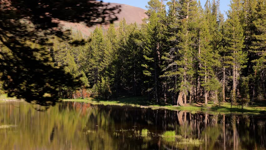 Camera moves past the beautiful landscapes of Yosemite National Park in California.
