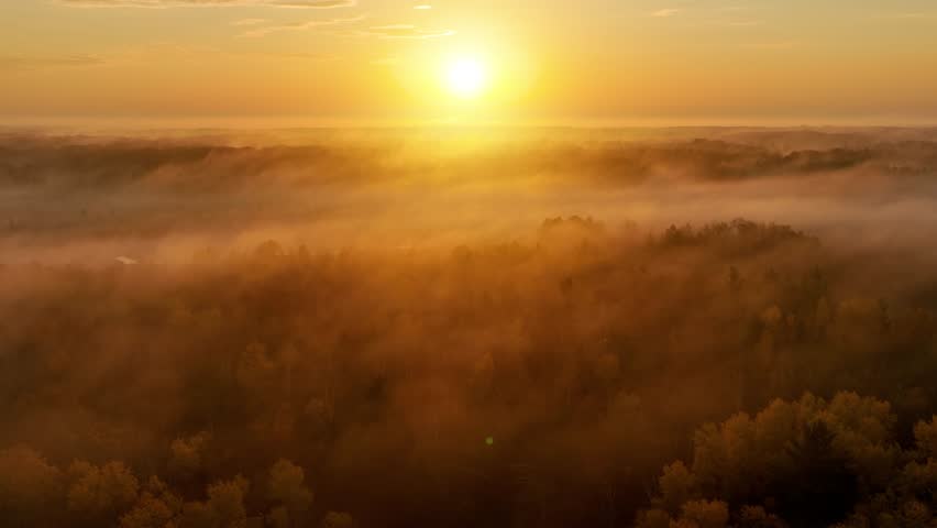 Beautiful dawn aerial shot of sunlight shining thought the trees and low fog in Minnesota in the autumn. Trees are turning their fall colors