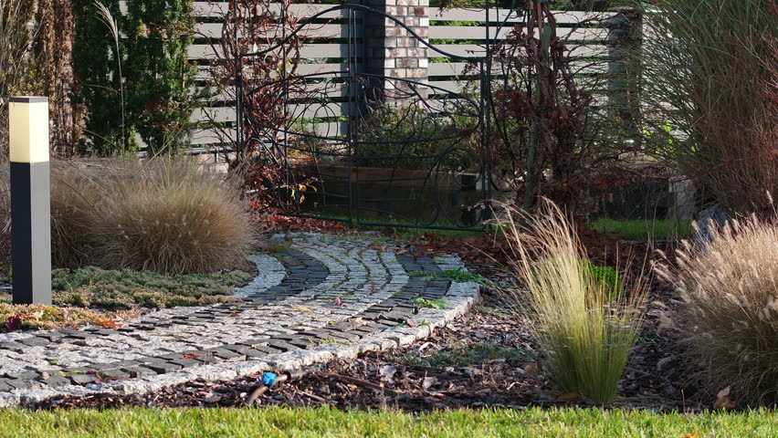 A vibrant garden showcases a variety of ornamental grasses and greenery during the autumn season. Sunlight casts warm tones on the foliage, highlighting the rich colors of fall