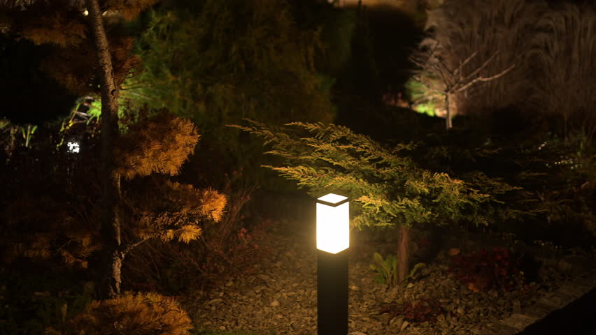 Soft illumination from outdoor lights creates a serene atmosphere in the garden at night. Warm glows highlight the lush greenery, creating a calming environment perfect for relaxation.