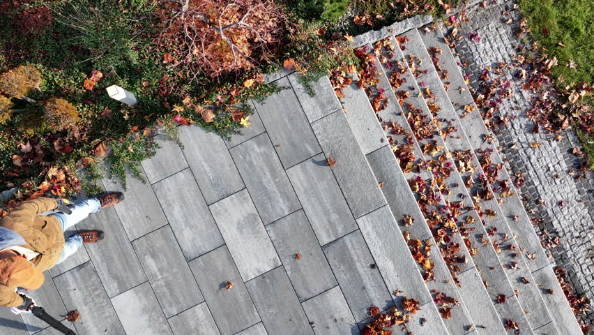 A person dressed in casual attire uses a leaf blower to clear a stone patio covered with fallen leaves. The outdoor setting showcases vibrant autumn colors, highlighting the change of season. 