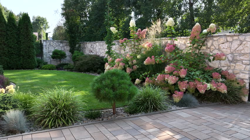 Delight in the lush colors of a vibrant garden filled with blooming hydrangeas and greenery. Located in a serene backyard, this tranquil space captivates with its natural beauty and peaceful ambiance