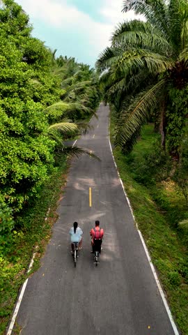 Two cyclists enjoy a peaceful ride along a winding road in Chumphon Thailand, surrounded by vibrant greenery and tall palm trees.