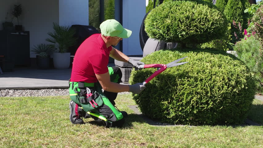 A skilled gardener in a bright green hat and gloves carefully trims a bush into a decorative form. The well-manicured lawn and modern home backdrop highlight the attention to landscaping details.
