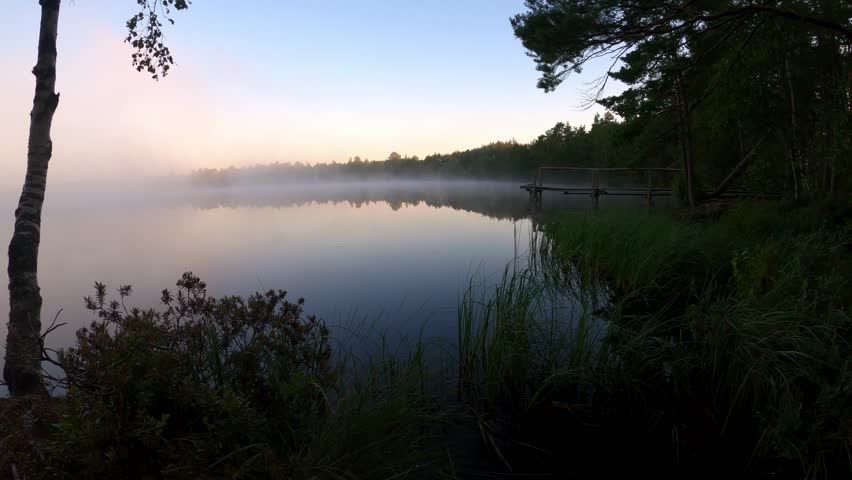 Misty Morning at Baltic Bog Lake with Wooden Pier, Perfect Mirror Reflection. Serene Wilderness Landscape in Early Dawn Light