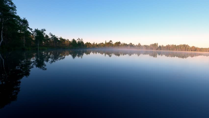 Serene Wilderness Bog with Pristine Water Reflections at Daybreak. Pine Forest Mirror Image Captured in Still Waters with Dawn Mist Rising