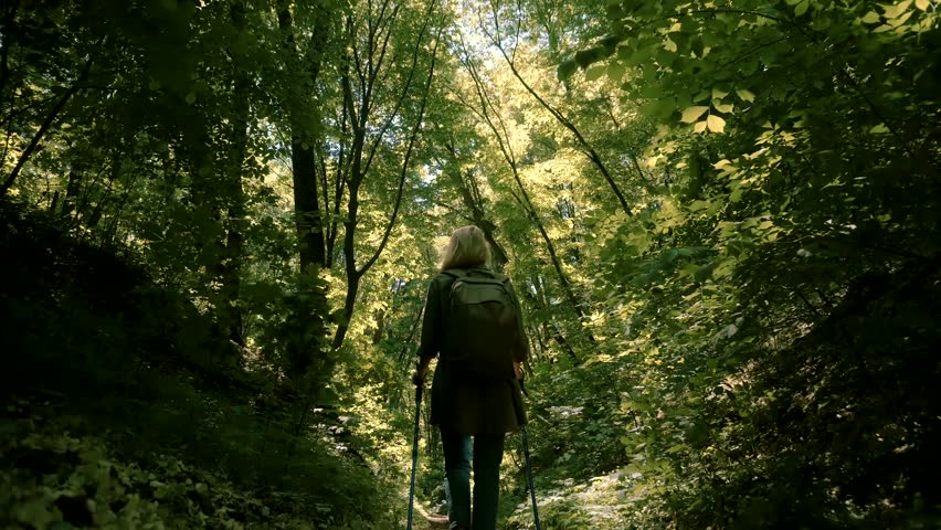 Tourist Hiker Activity In Forest With Walking Stick. Adventure Hiking Waling Stick Nordic Walk. Hiking Hiker On Mountain Forest. Nordic Hiking In Wood. Trekker Summer Forest Workout Trekking In Jungle
